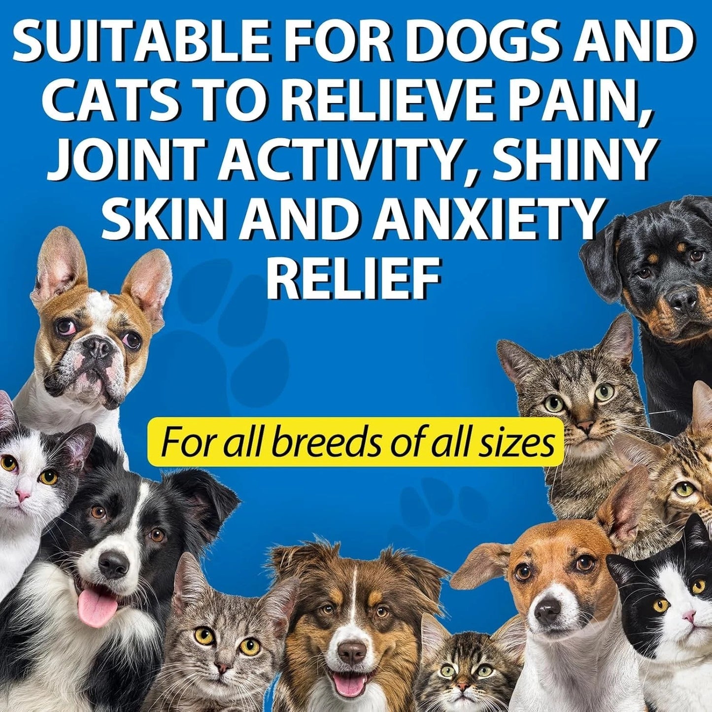 Pet Care Oil For Dogs