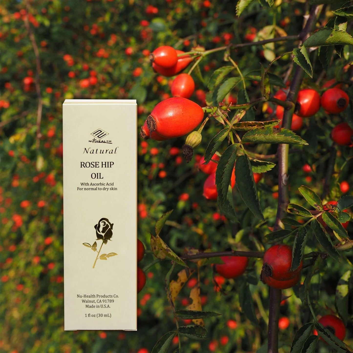 Cosmo Rose Hips Oil