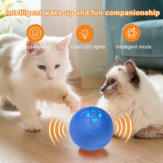 Interactive Automatic Dog Fetch Ball