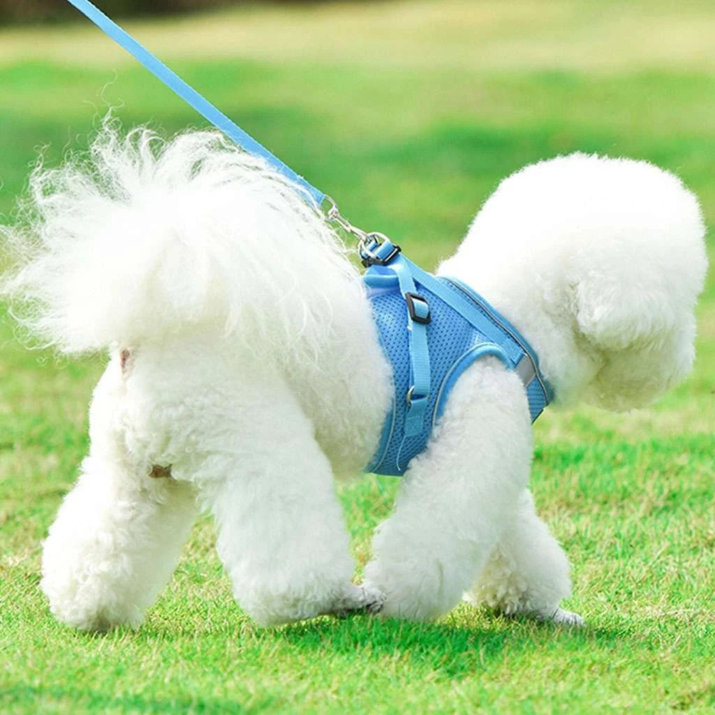 Adjustable No Pull Dog Harness
