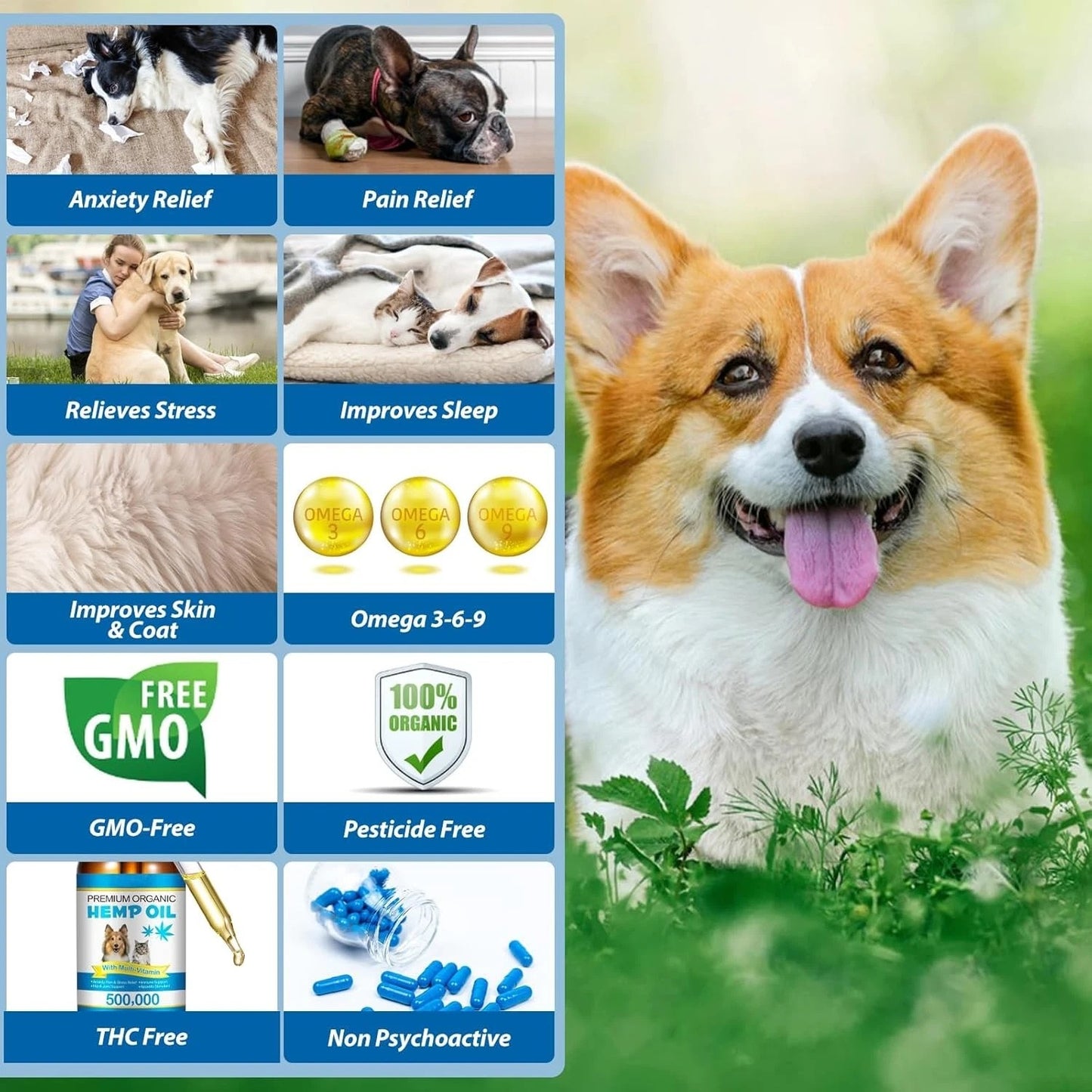 Pet Care Oil For Dogs