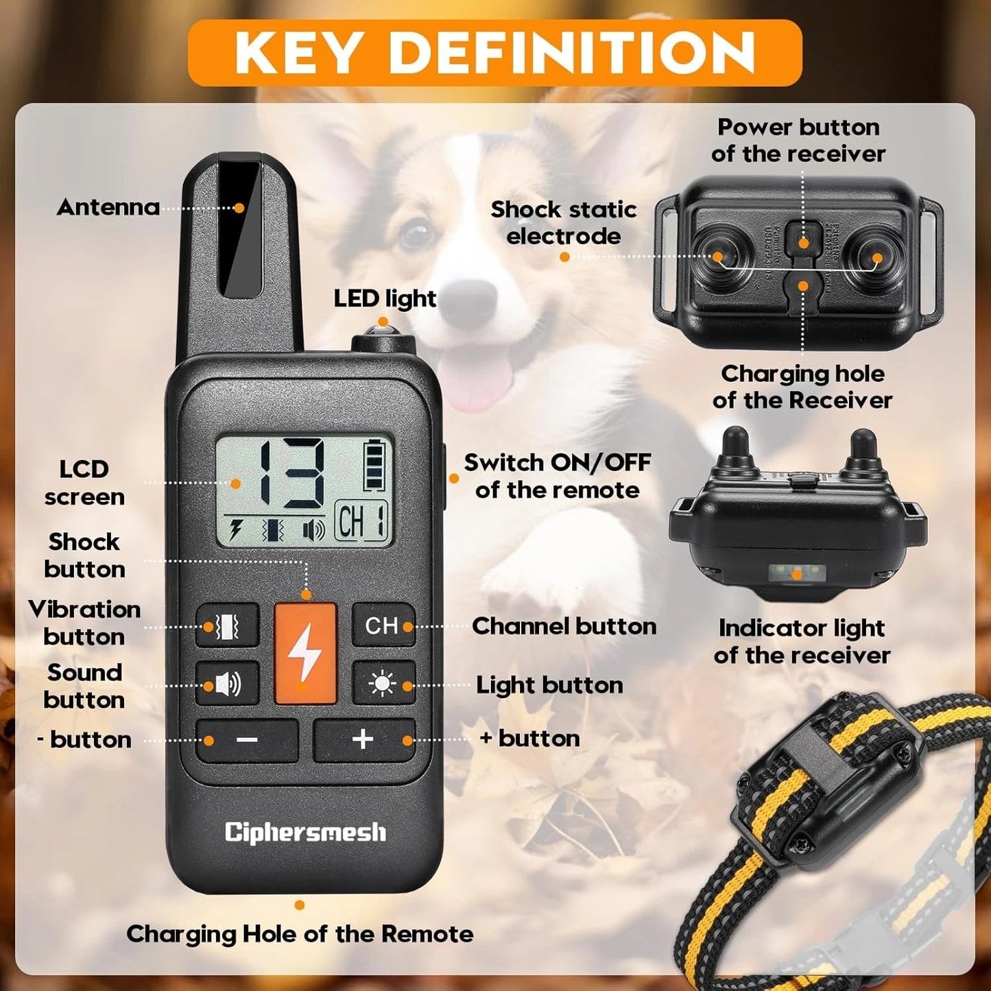 Rechargeable Remote Dog Training Collar