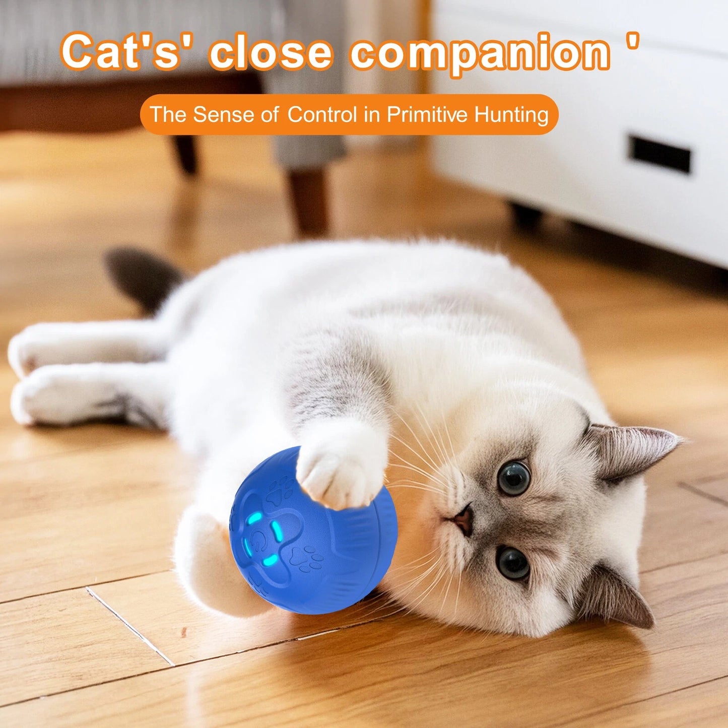 Interactive Automatic Dog Fetch Ball