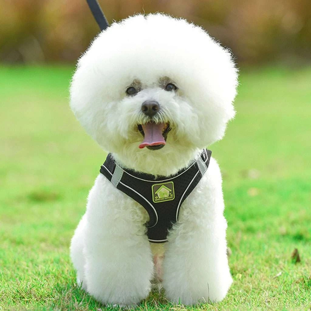 Adjustable No Pull Dog Harness