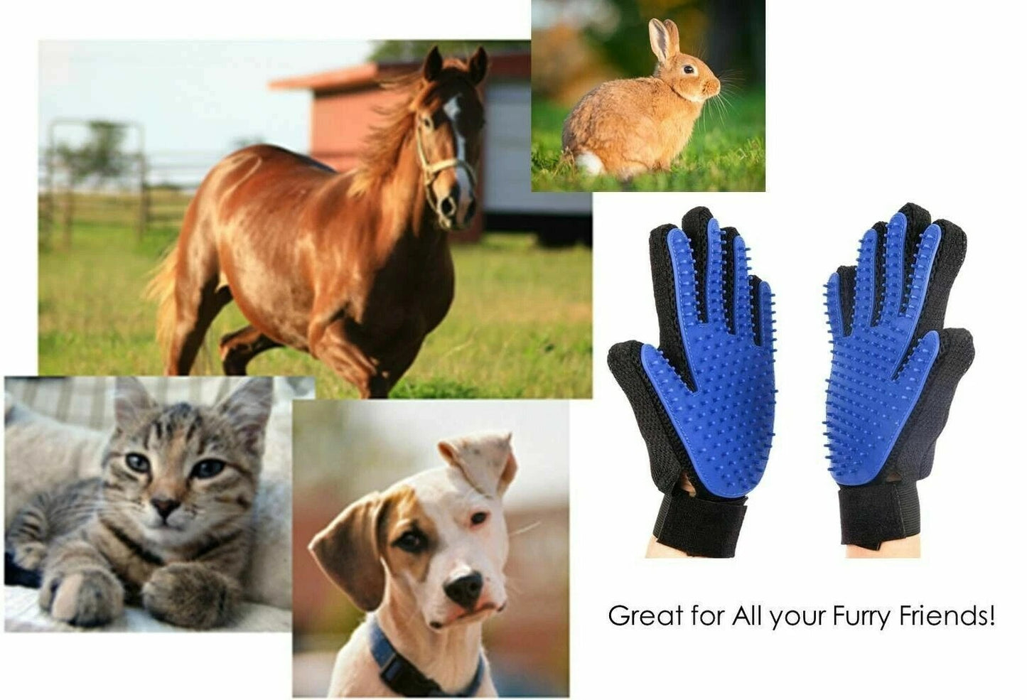 Pet Grooming Hair Removal Gloves