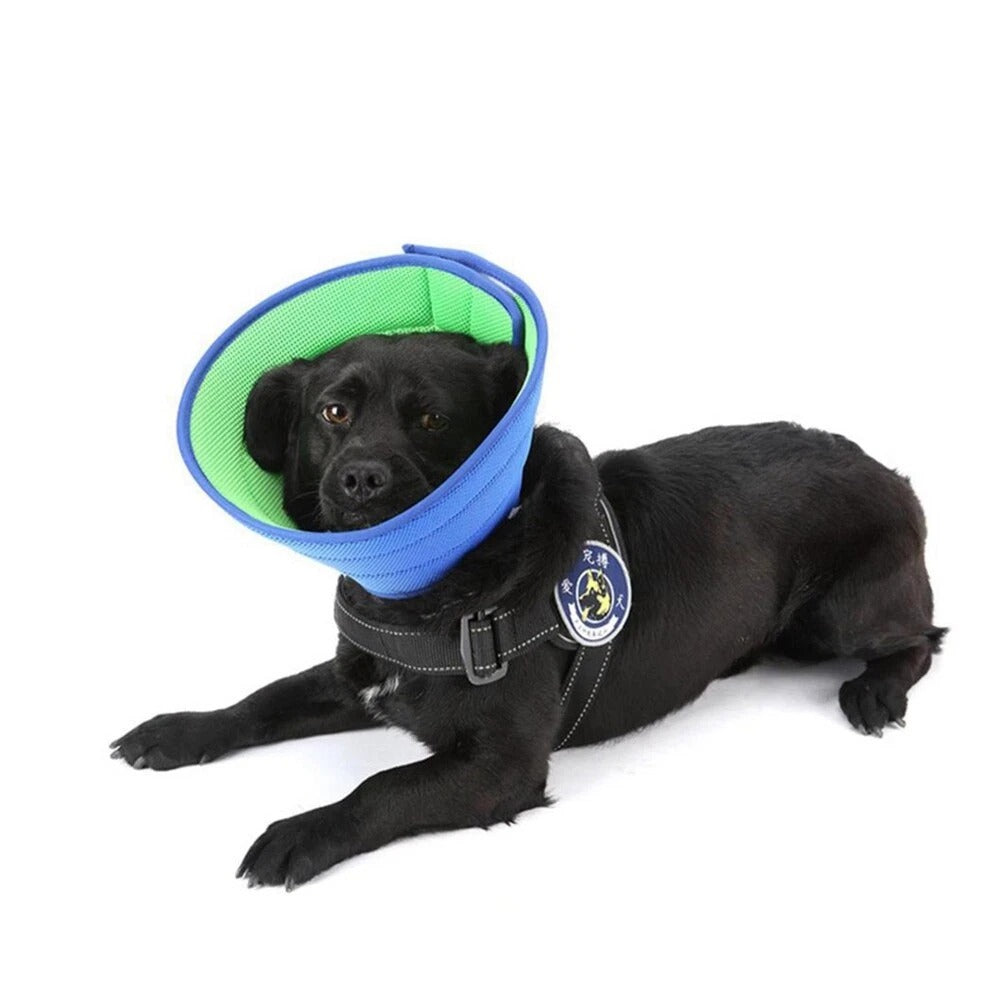 Adjustable Soft Pet Recovery Collar